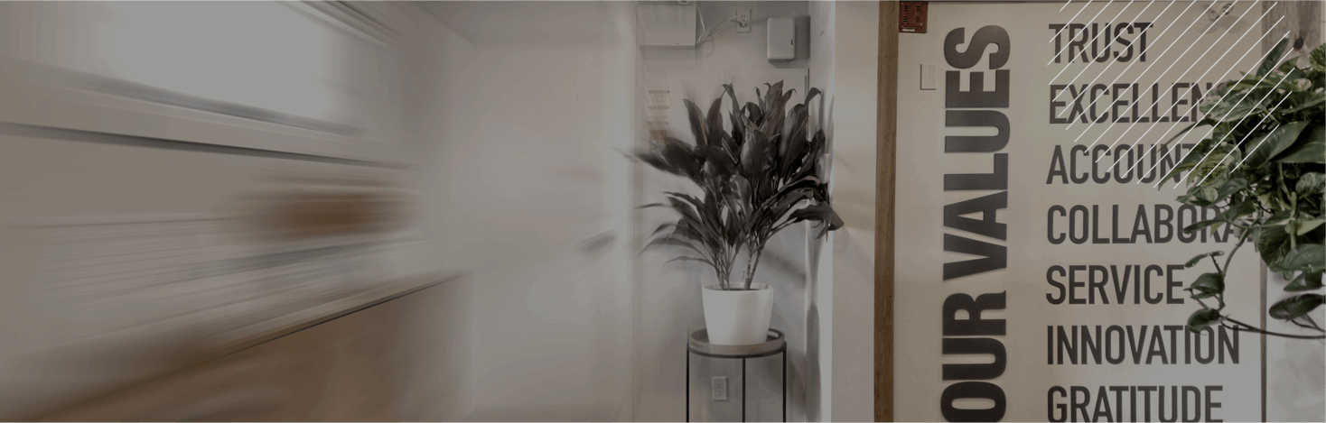 Plant near white wall with text listing values